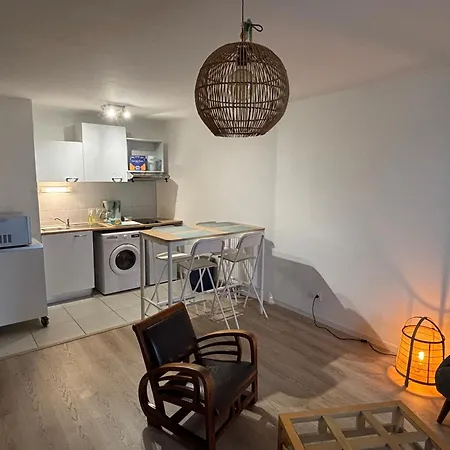 Tres Bel De Standing - Dunkerque Plaisance Citadelle Appartement Dunkirk
